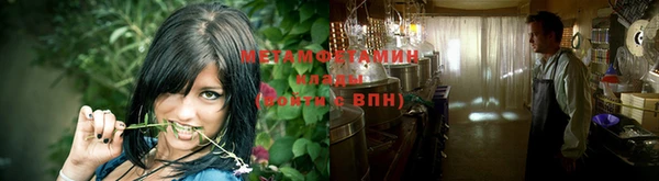 прущие грибы Лагань