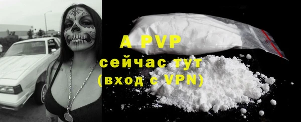 прущие грибы Лагань