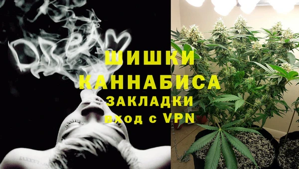 прущие грибы Лагань