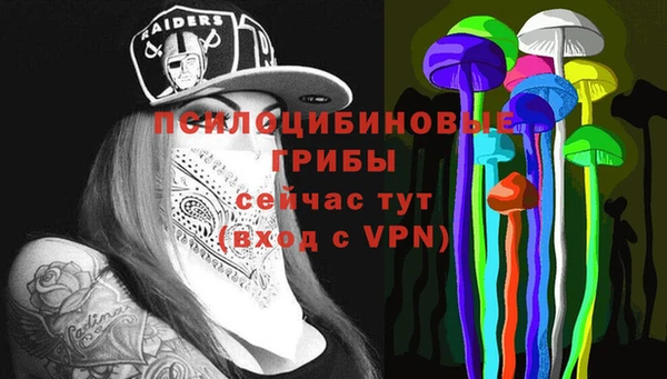 мдпв Ладушкин