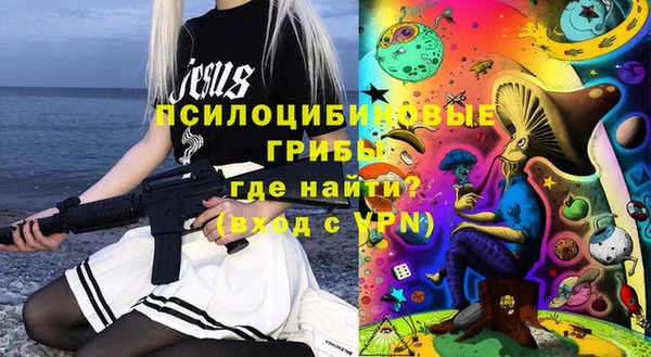 мдпв Ладушкин