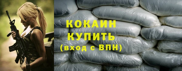 мдпв Ладушкин